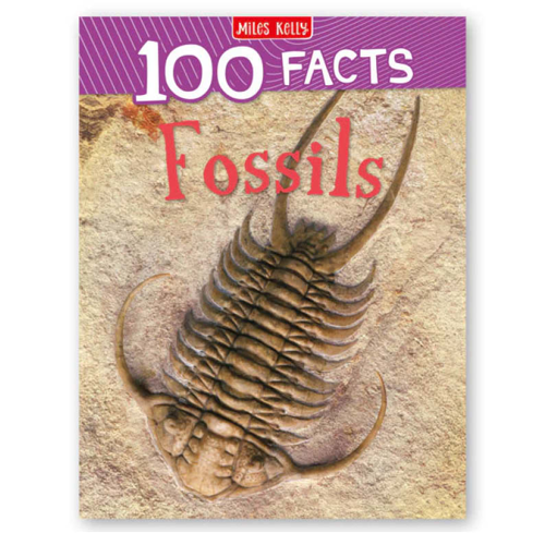 100 Fossils Facts Book